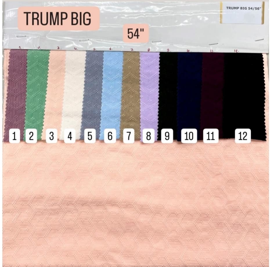 TrumpBig2.jpg